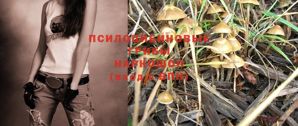 сатива Вязники